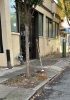 10th between Davis and Couch Mushrooms circled